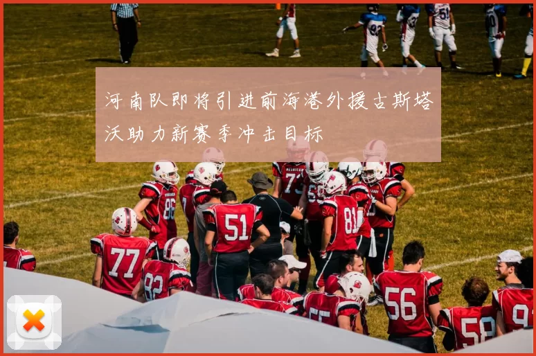 河南队即将引进前海港外援古斯塔沃助力新赛季冲击目标