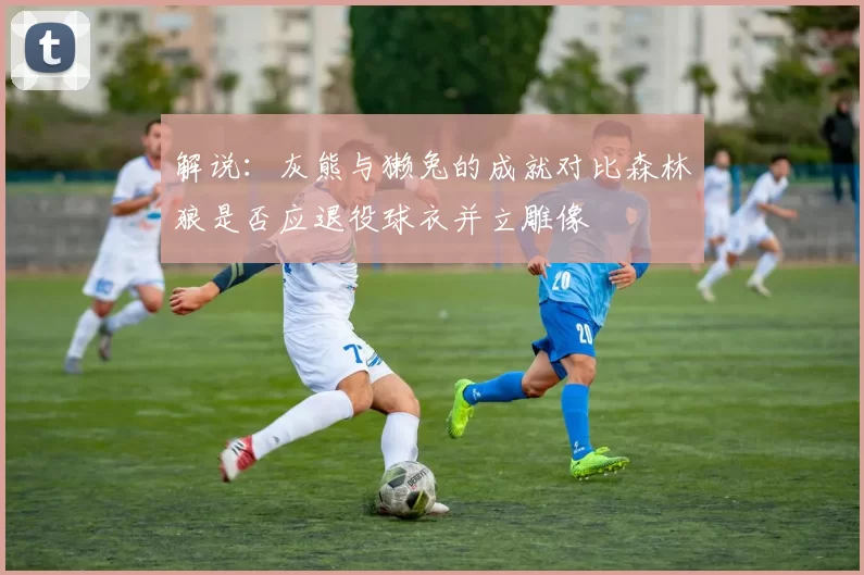 解说：灰熊与獭兔的成就对比森林狼是否应退役球衣并立雕像